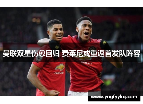 曼联双星伤愈回归 费莱尼或重返首发队阵容